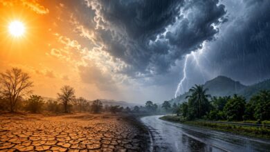 Monsoon Arrival Date