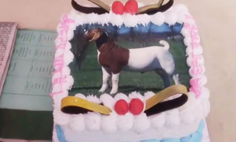 Bakra Eid