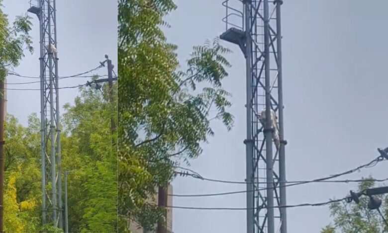 मोबाइल टॉवर पर चढ़कर किया जमकर हंगामा