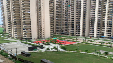 noida property rise