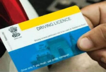 License Online Application