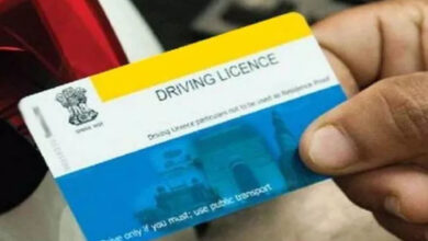 License Online Application