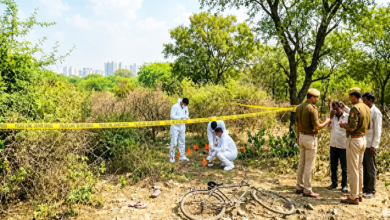 Transporter shot dead