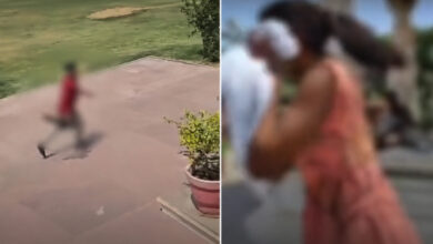 Viral Video Ayodhya