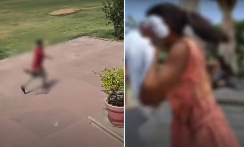 Viral Video Ayodhya
