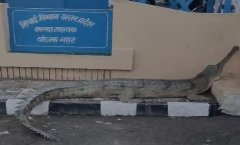 Bahraich