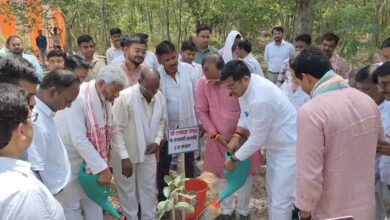 Development in Banda