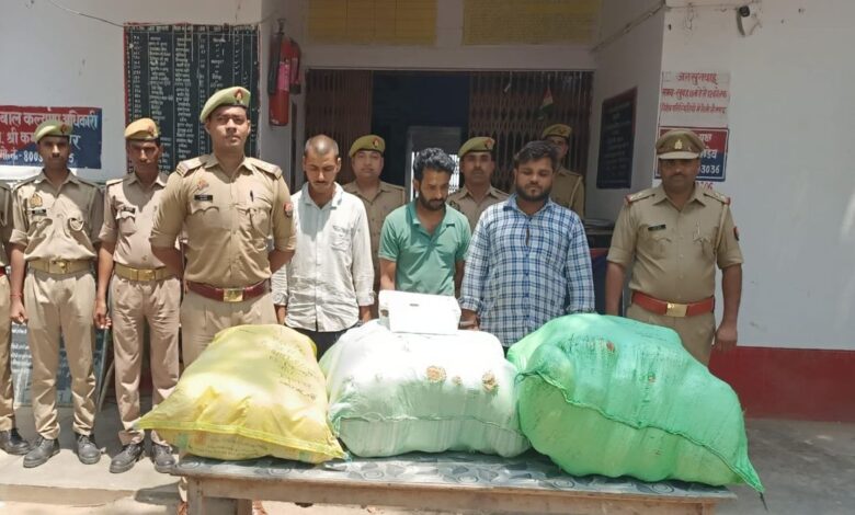 Drug Smugglers