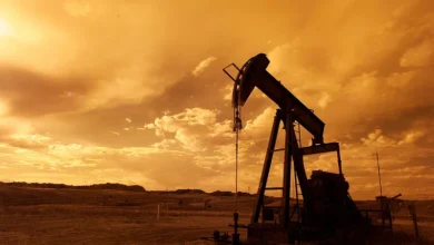petroleum iran