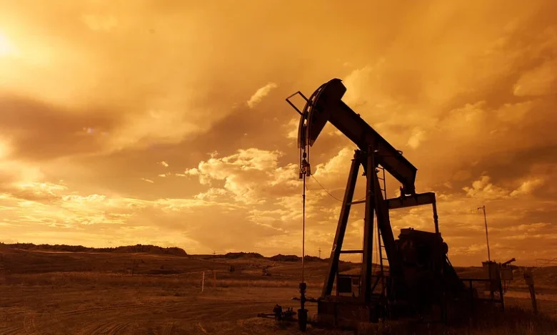 petroleum iran