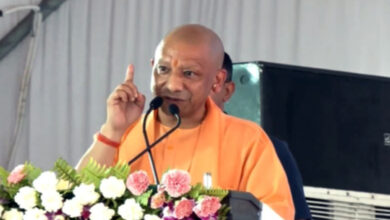 गाय को राष्ट्रीय पशु घोषित करने की मांग पर तीखी प्रतिक्रिया