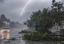 1 जुलाई तक बारिश और तेज हवाओं का अलर्ट