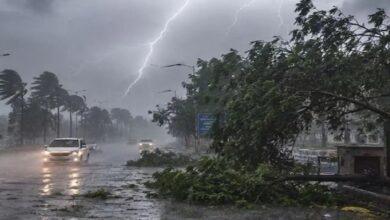1 जुलाई तक बारिश और तेज हवाओं का अलर्ट