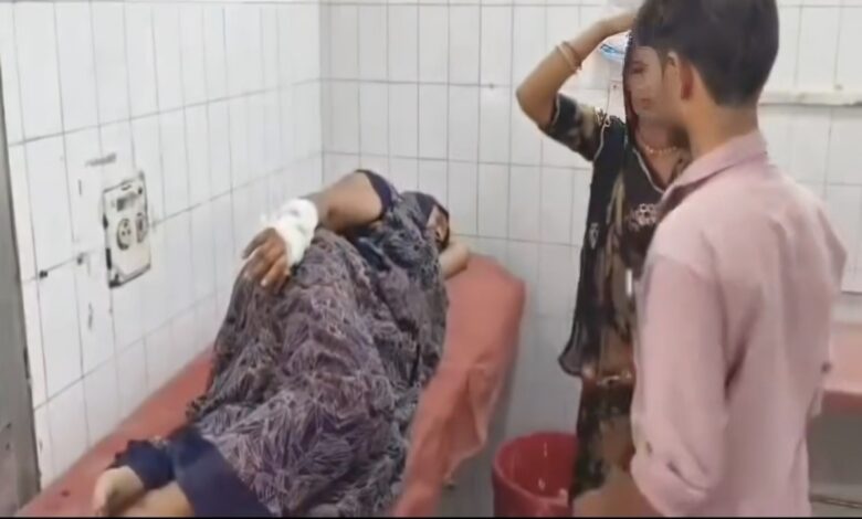 मां पर कुल्हाड़ी से हमला