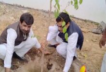 अखिलेश यादव का 53वें जन्मदिन
