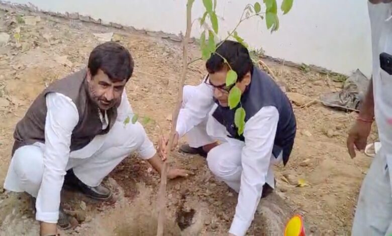 अखिलेश यादव का 53वें जन्मदिन