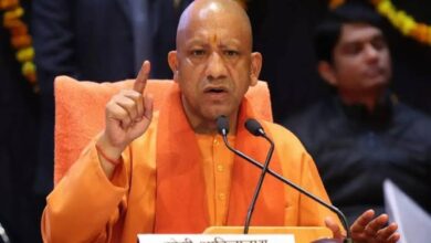 Yogi Cabinet