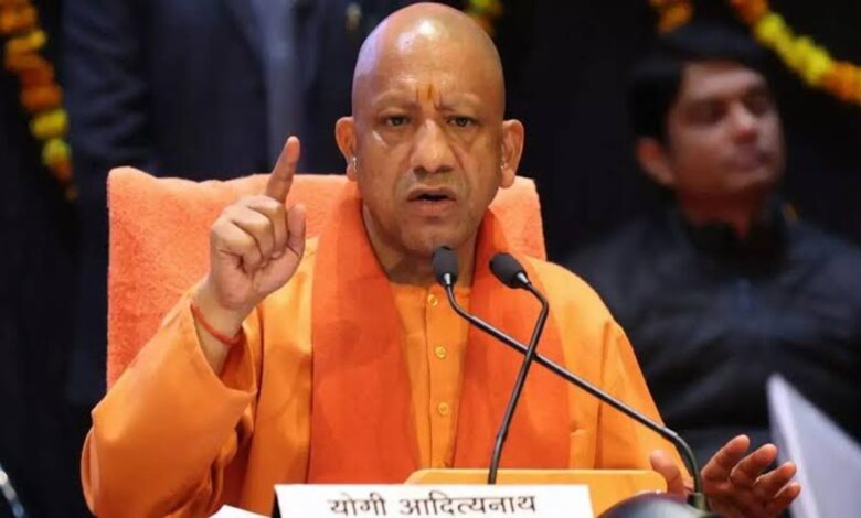 Yogi Cabinet