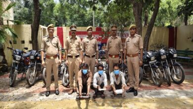 Motorcycle Theft Gang