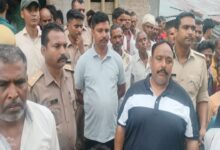 वन्यजीवों का आतंक