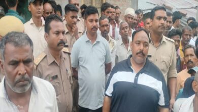 वन्यजीवों का आतंक