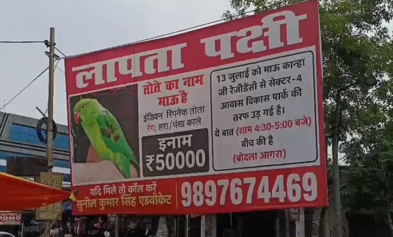 घायल तोते की कहानी