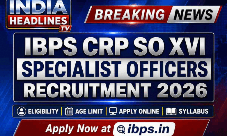 ibps recruitment