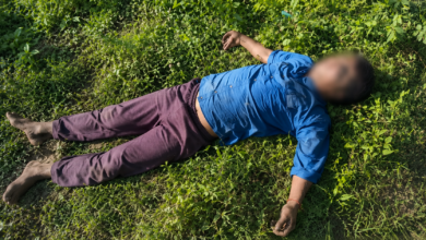 पहचान बनी पहेली
