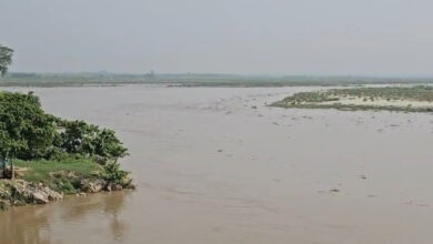 बाढ़ चौकियां सक्रिय