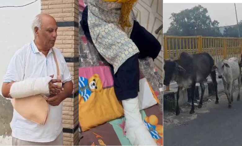 हमलों में कई गंभीर घायल