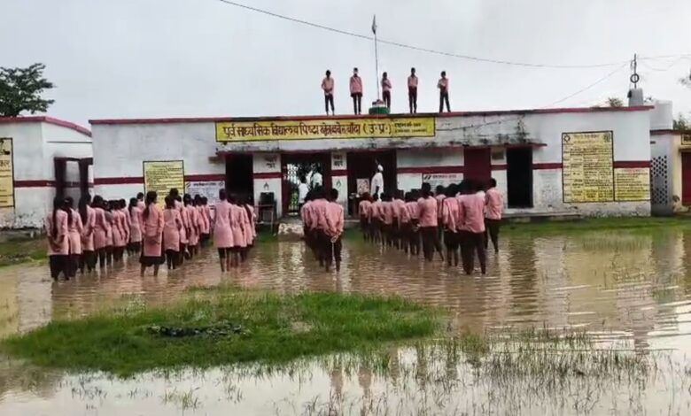 सरकारी स्कूलों की जमीनी हकीकत