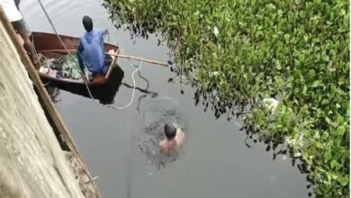 रील बनी काल