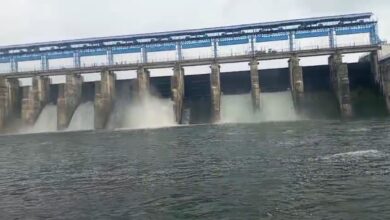 बांध के फाटक नहीं हुए बंद