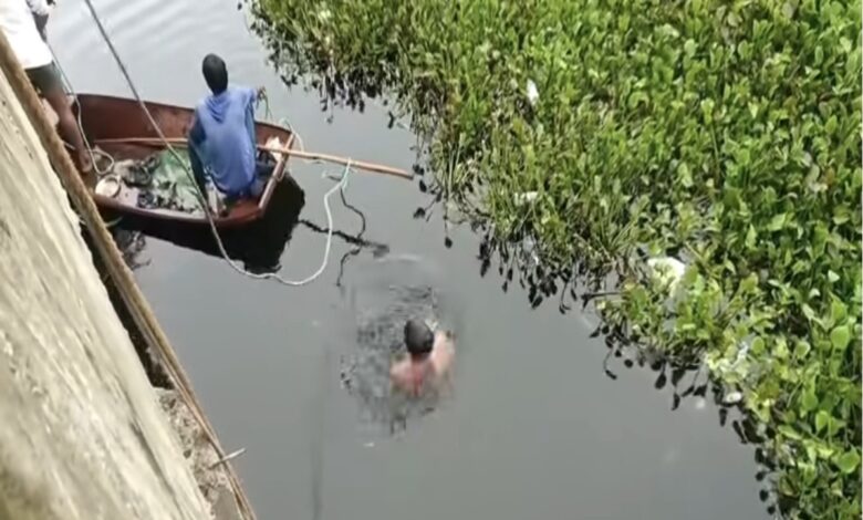 रील बनी काल