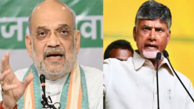 2029 से पहले लागू करने का दावा
