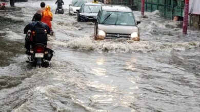 19 जिलों में स्कूल-कॉलेज बंद