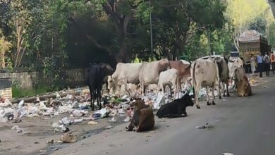 हालात ने बढ़ाई चिंता
