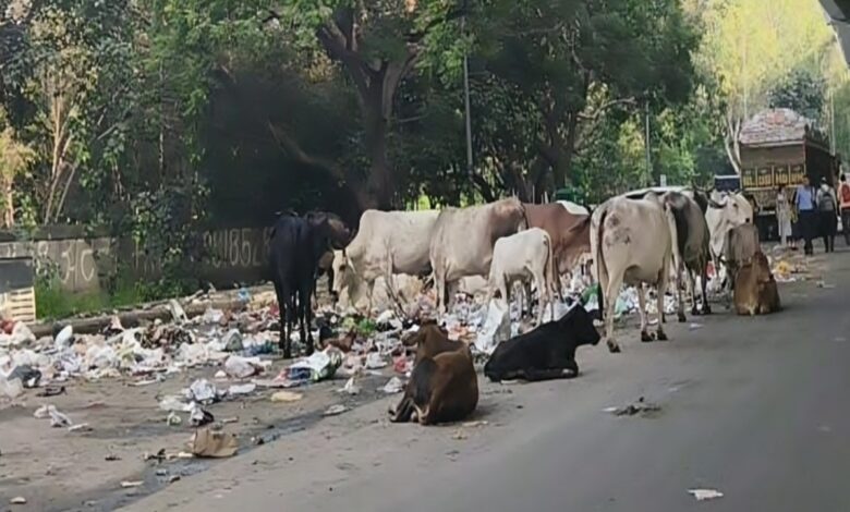 हालात ने बढ़ाई चिंता
