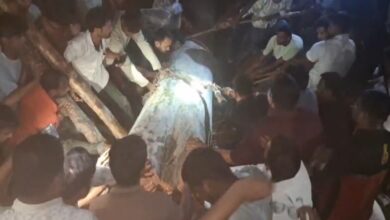 क्रेन से मजदूर को बचाया