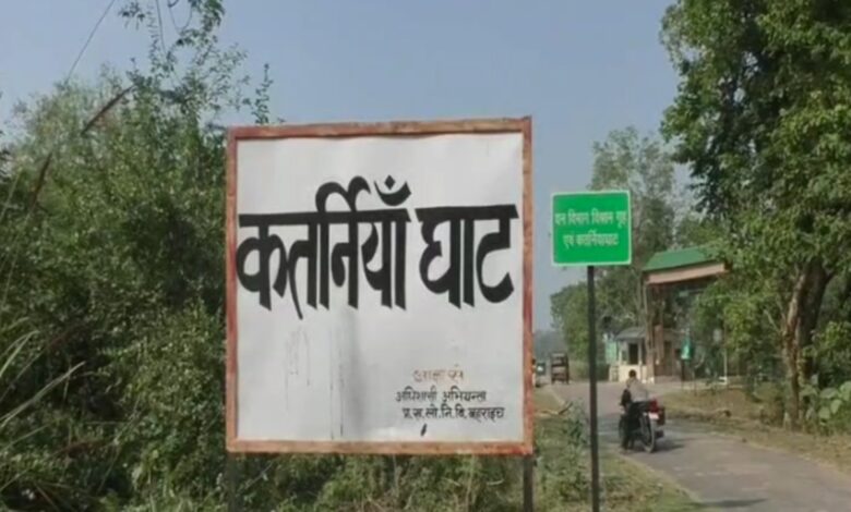 तेंदुए ने महिला पर किया हमला
