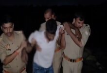 DCM से 10 गोवंश और तमंचा बरामद