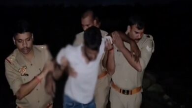 DCM से 10 गोवंश और तमंचा बरामद