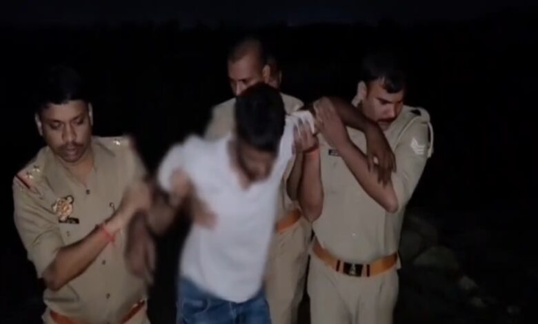 DCM से 10 गोवंश और तमंचा बरामद