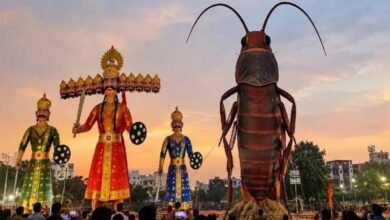 गंदगी के प्रतीक के रूप में दिखेगा कॉकरोच