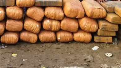ट्रक की गुप्त कैविटी में छिपाकर लाते थे गांजा