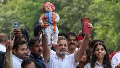 याचिका में मिली 14 खामियां