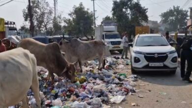 शिकायतों के बाद भी समाधान का इंतजार