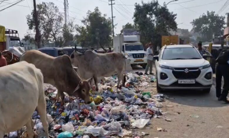 शिकायतों के बाद भी समाधान का इंतजार