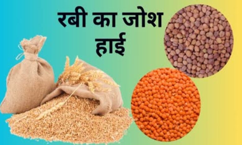 कुसुम पर सबसे बड़ा इजाफा