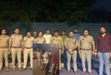 मेरठ के रहने वाले हैं दोनों आरोपी